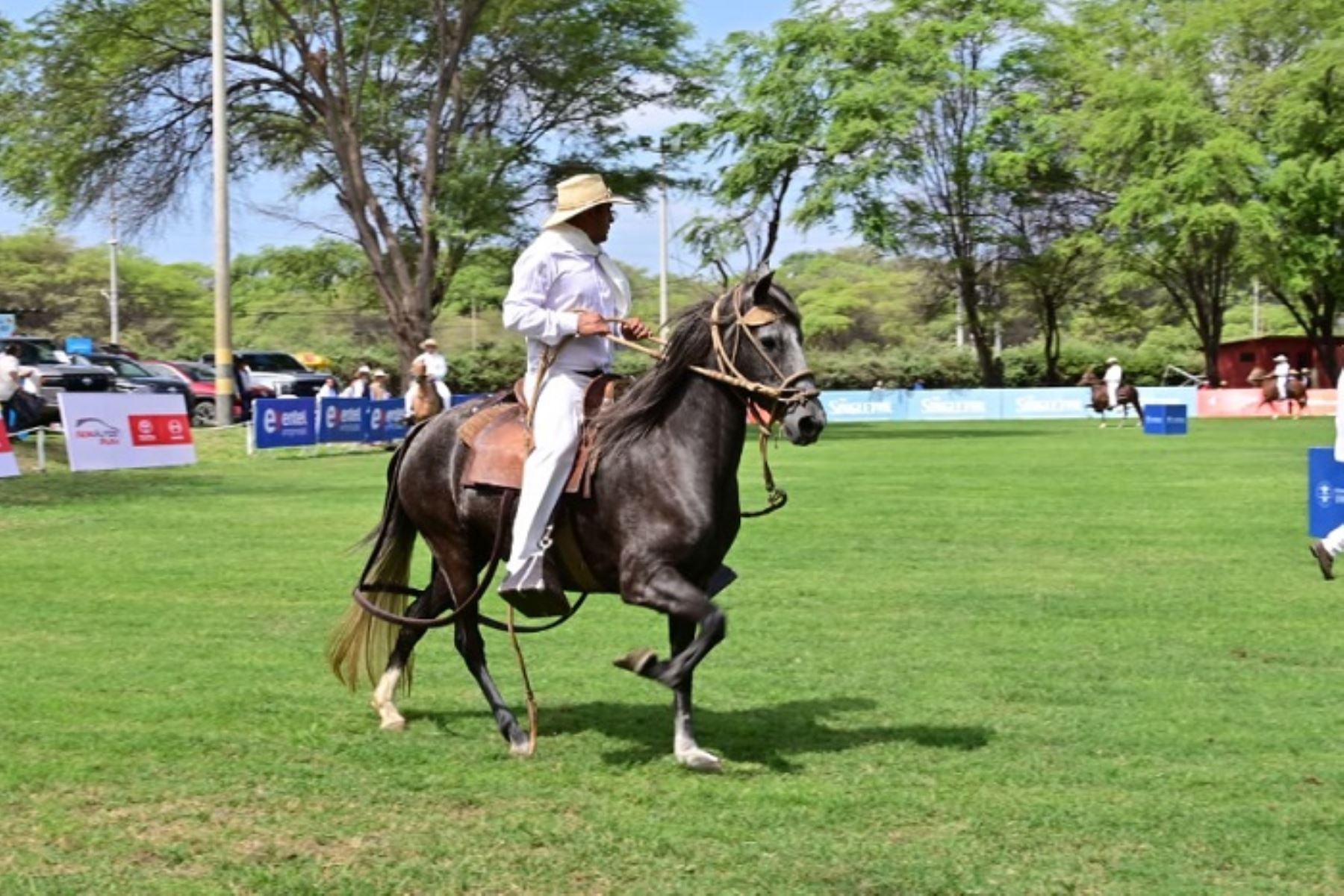 Participaron criadores de La Libertad, Lambayeque, Lima, Cajamarca y Ecuador, consolidando el prestigio regional e internacional de esta tradición.
