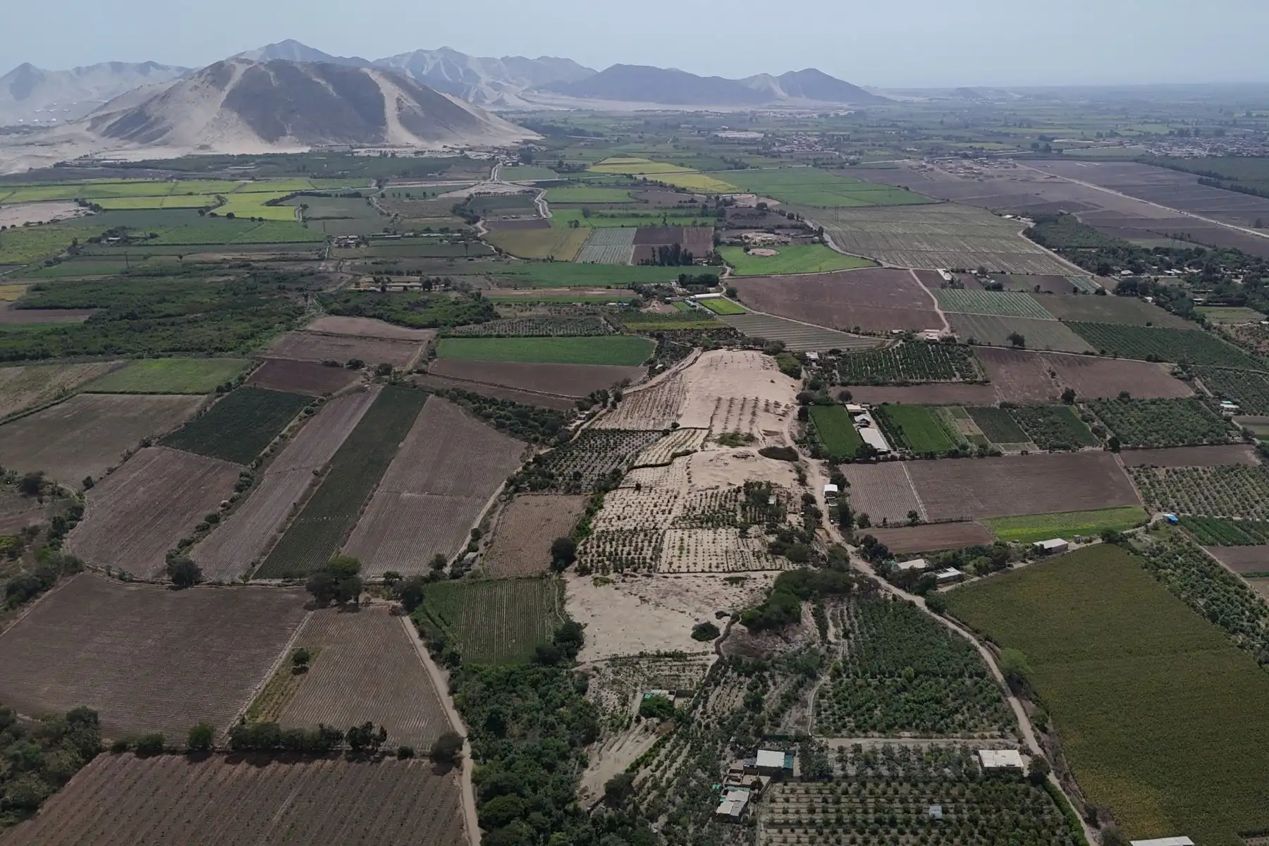 Un equipo de arqueólogos peruanos halló en la huaca Amalia evidencia de lo que habría sido la residencia de un personaje importante, que vivió entre los años 100 antes de Cristo hasta el 700 de nuestra era.
Foto: cortesía Feren Castillo