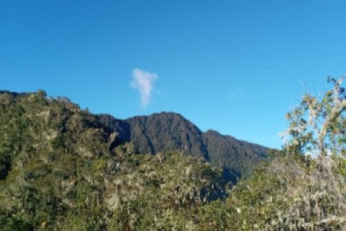Actualmente, hay 77 ANP de administración nacional, 35 ACR y alrededor de 140 áreas de conservación privada (ACP).