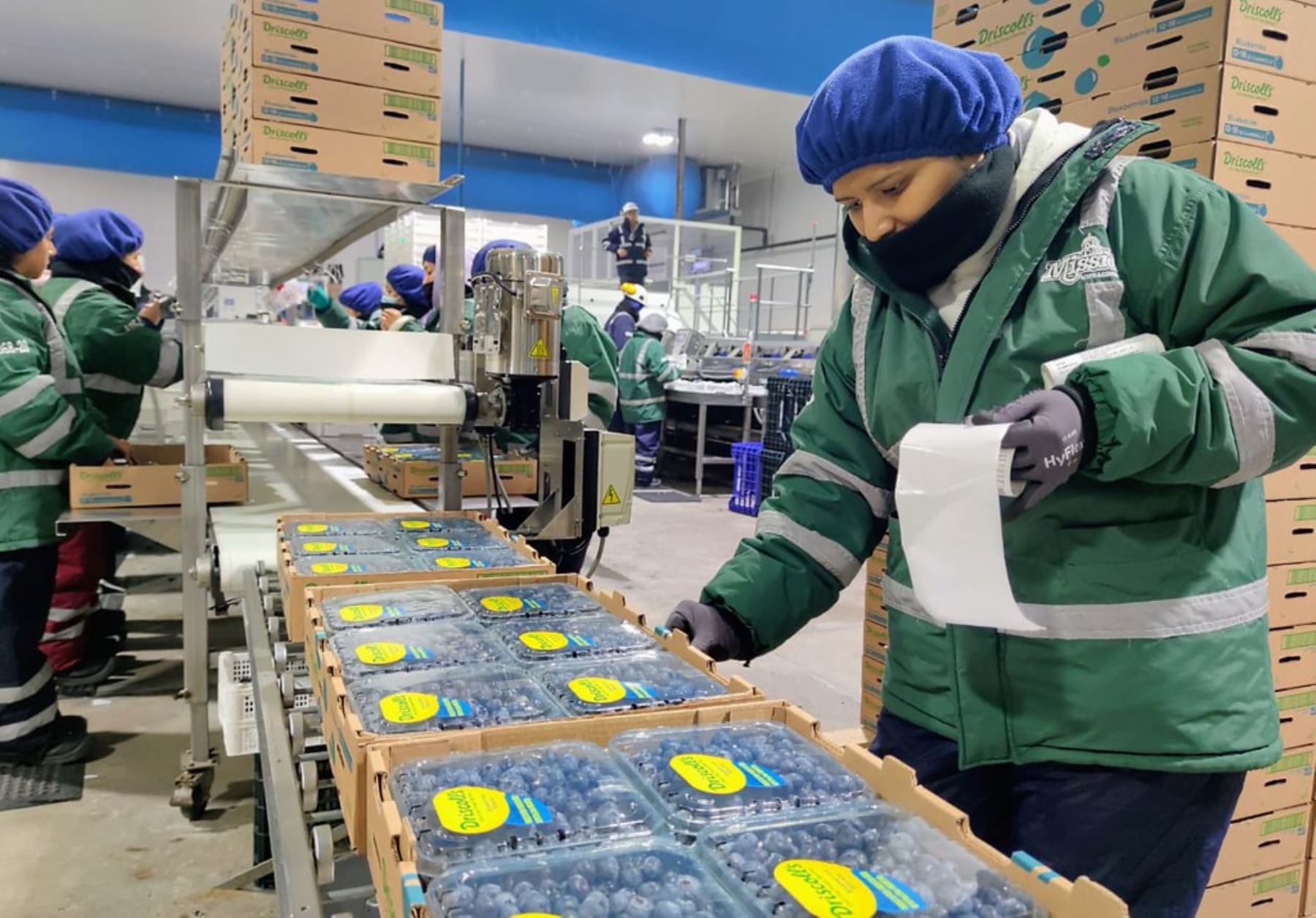 La nueva Ley Agraria impulsará el crecimiento sostenido de las agroexportaciones peruanas. ANDINA/Difusión