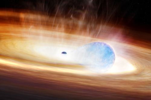This artist’s graphic shows the massive star and black hole before the supernova explosion, when the star’s shape is stretched by gravitational forces from the black hole. Foto: Melissa Weiss/Center for Astrophysics