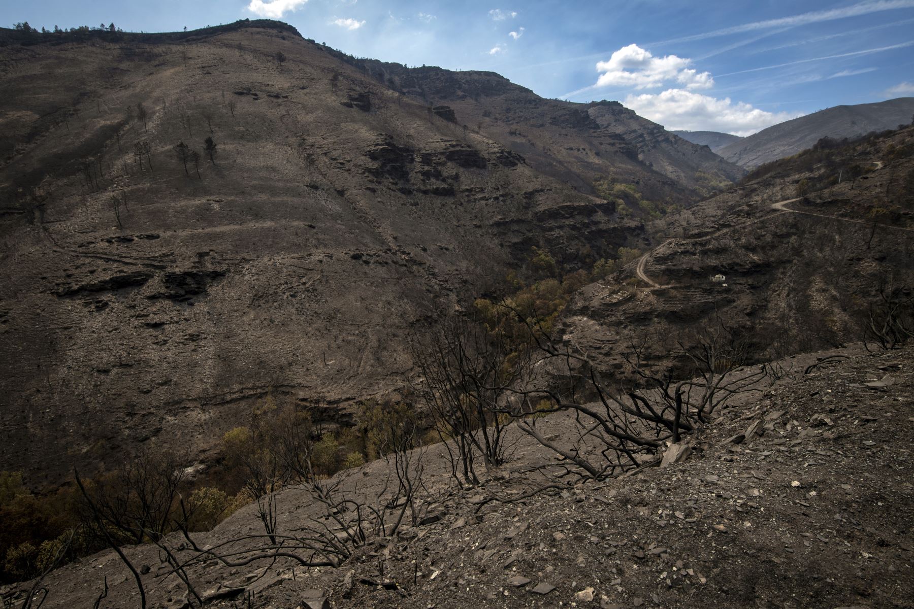 Los incendios en Galicia ya calcinaron más de 50.000 hectáreas, con varios focos de calor activos que se reactivaron en las últimas horas, en especial en la provincia Ourense, la más golpeada de la comunidad.  AFP