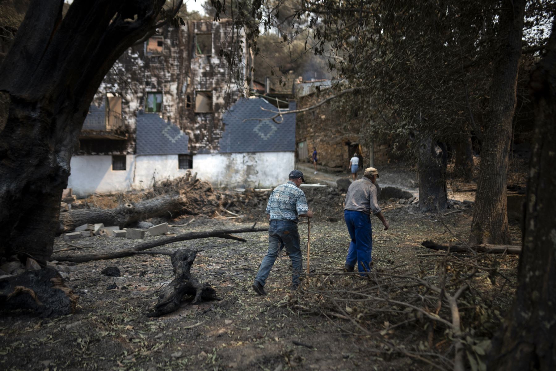 La Guardia Civil y la Policía Nacional desalojaron a más de 31.130 personas debido a los incendios forestales en el noroeste del país y en Extremadura desde que se declaró la preemergencia el pasado 12 de agosto, según datos del Ministerio del Interior. AFP