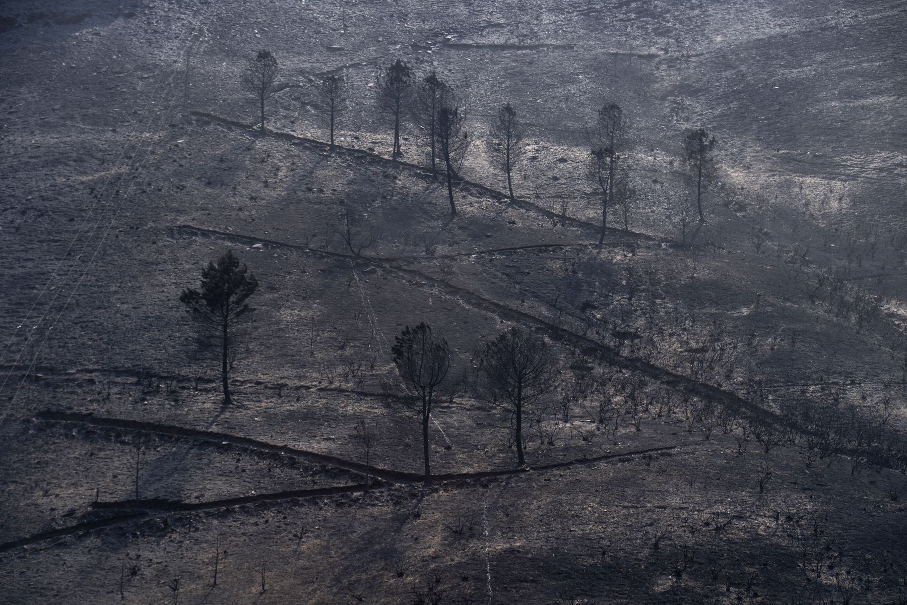 La imagen muestra una zona quemada tras un incendio forestal en el pueblo de San Vicente de Leira, en el noroeste de España, en la provincia de Ourense. AFP