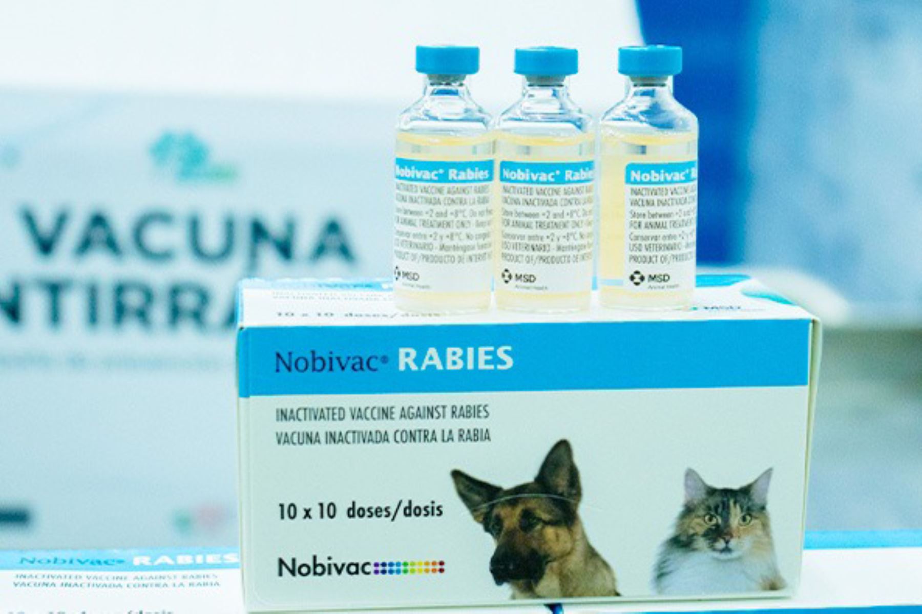 El objetivo es proteger a los canes y evitar la transmisión de la rabia a los seres humanos. ANDINA/Difusión