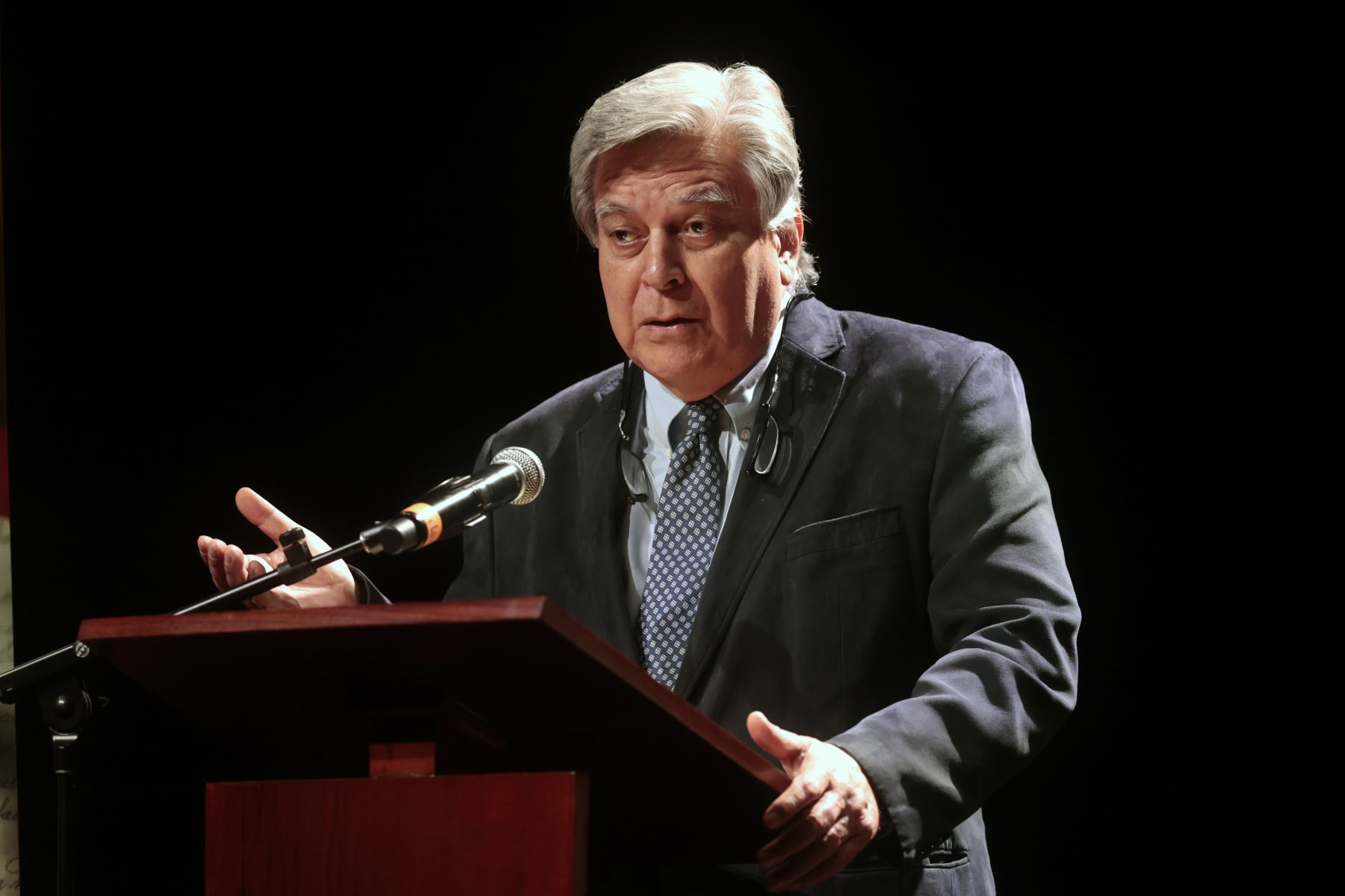 Foto: ANDINA/Vidal Tarqui.