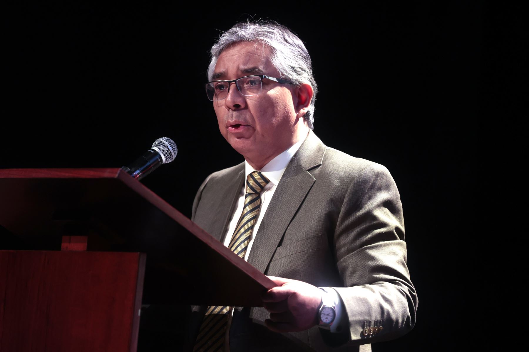 Foto: ANDINA/Vidal Tarqui.
