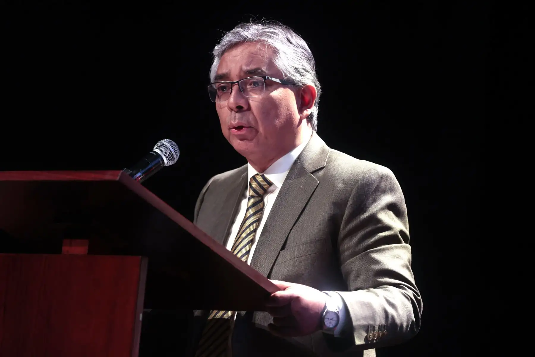 Foto: ANDINA/Vidal Tarqui.