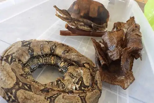Con estas intervenciones buscan identificar a quienes comercian ilegalmente productos de fauna, recuperar nuestro patrimonio natural y aplicar las sanciones administrativas y penales que correspondan.
