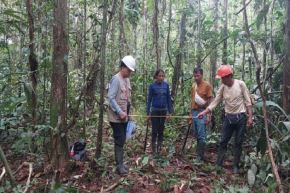 Se compensar ámás de 12 millones de soles de multas forestales.