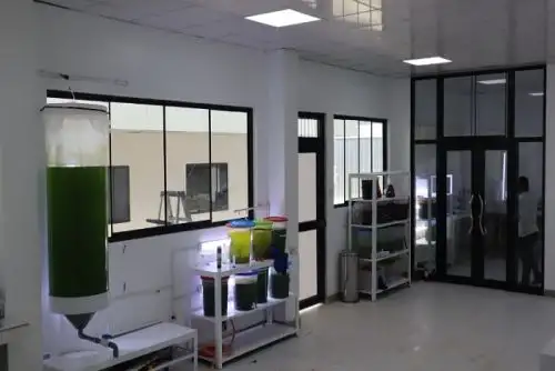 Durante el evento se entregarán 43,000 alevinos de paco, gamitana y boquichico a 28 piscicultores de 18 caseríos.