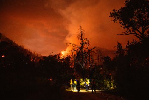 Incendio forestal arrasa miles de kilómetros en el Valle de Napa California
