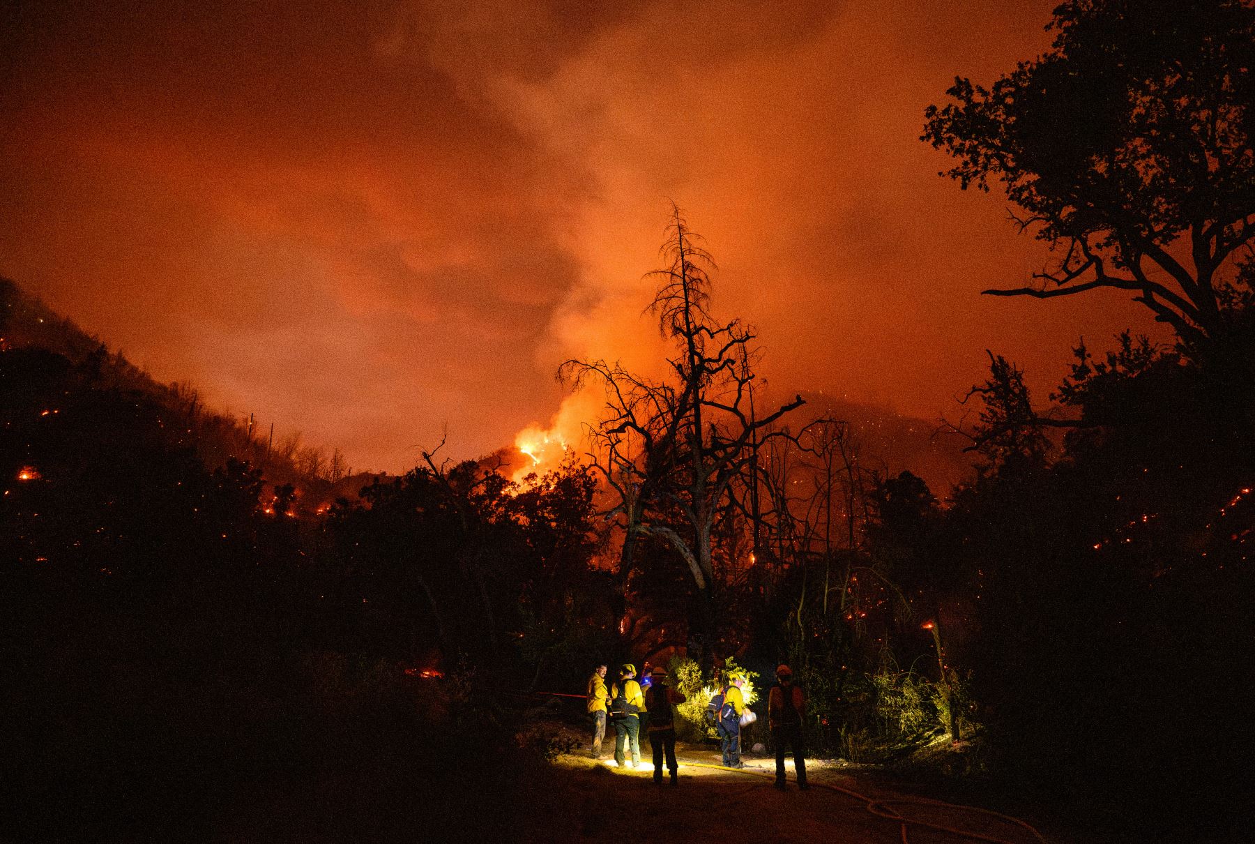 Un incendio forestal de rápida propagación estalló al norte de Calistoga, en el condado de Napa, quemando más de 1200 acres (aproximadamente 4,86 ​​kilómetros cuadrados) en cuestión de horas y provocando órdenes de evacuación para las comunidades rurales cercanas, dijeron las autoridades. Foto: AFP