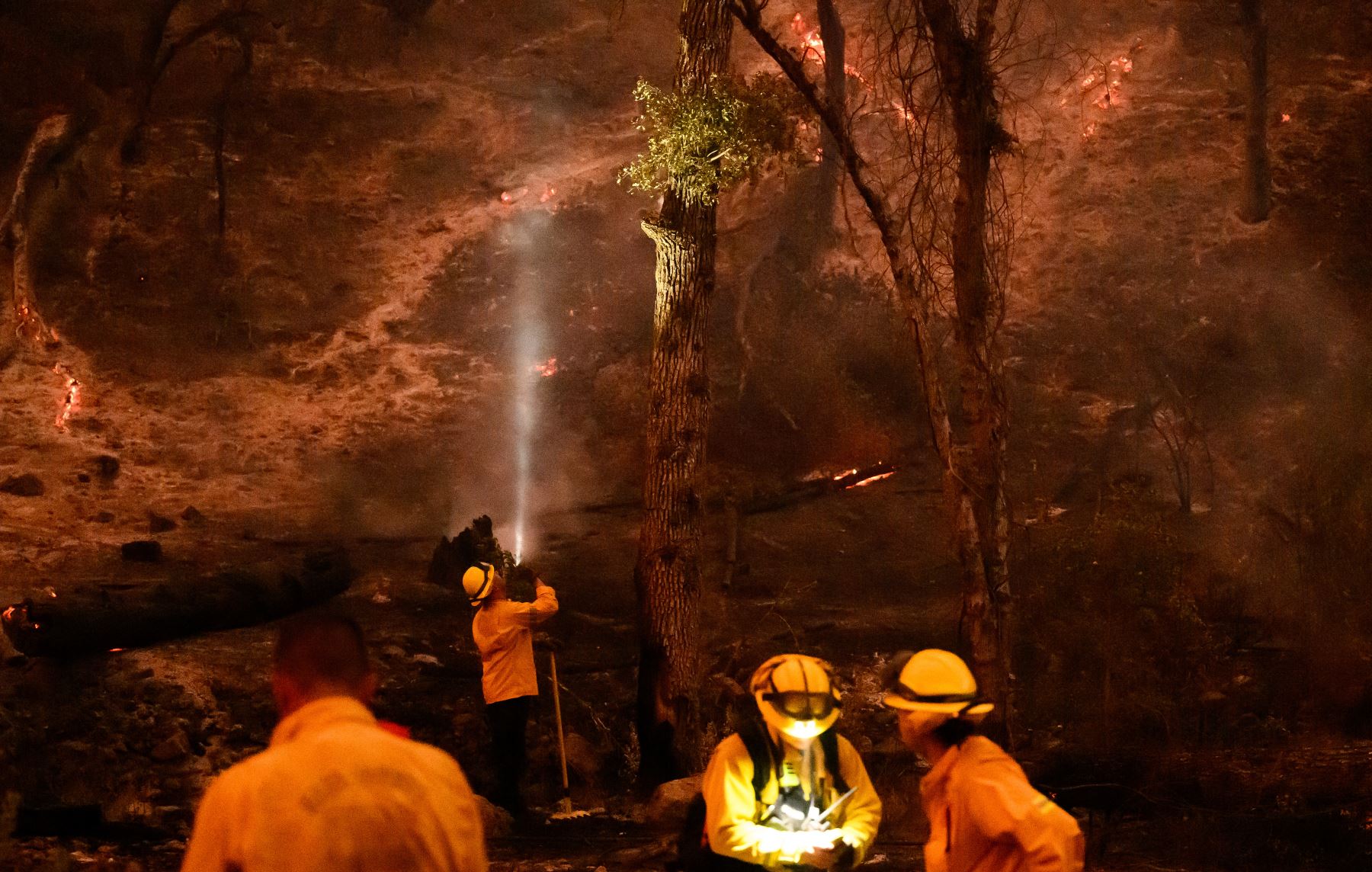 Los bomberos se preparan para talar un árbol en llamas mientras el incendio Pickett arde en Calistoga, California. AFP