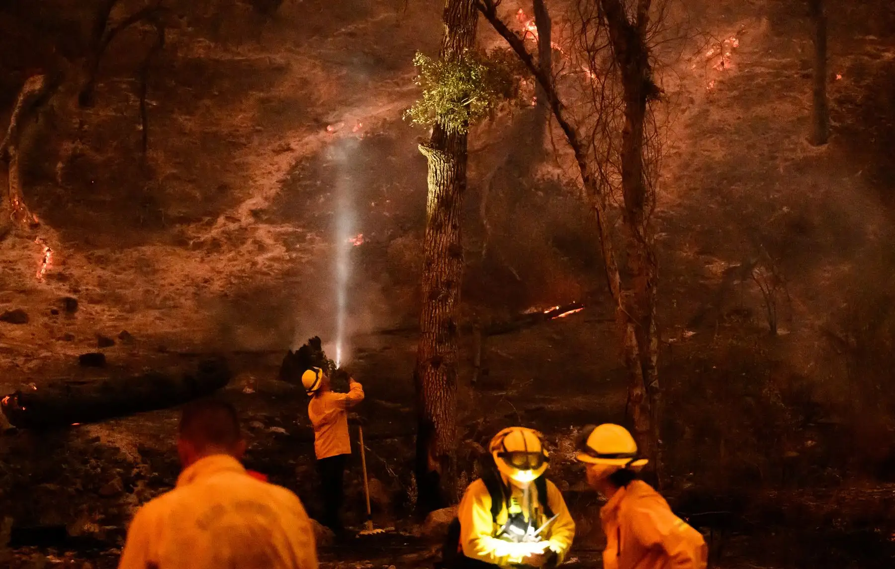 Los bomberos se preparan para talar un árbol en llamas mientras el incendio Pickett arde en Calistoga, California. AFP