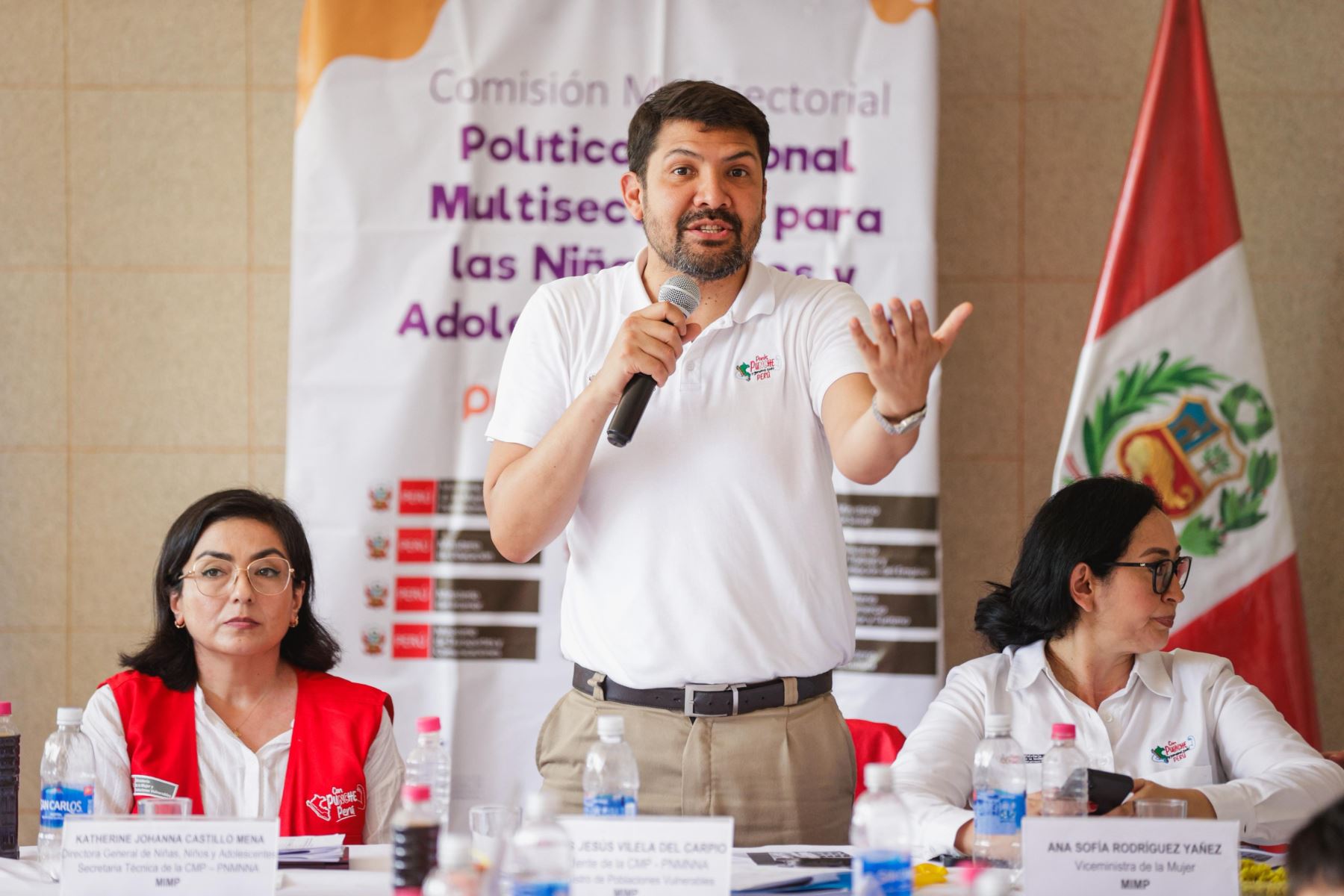 La sesión fue presidida por el viceministro de Poblaciones Vulnerables, Carlos Jesús Vilela del Carpio. Foto: MIMP