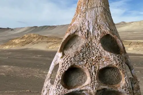 Fósil de "Piscogavialis laberintoensis", el nuevo cocodrilo marino del Perú, hallado en el desierto de Ocucaje, región Ica. Foto: Cortesía Rodolfo Salas-Gismondi