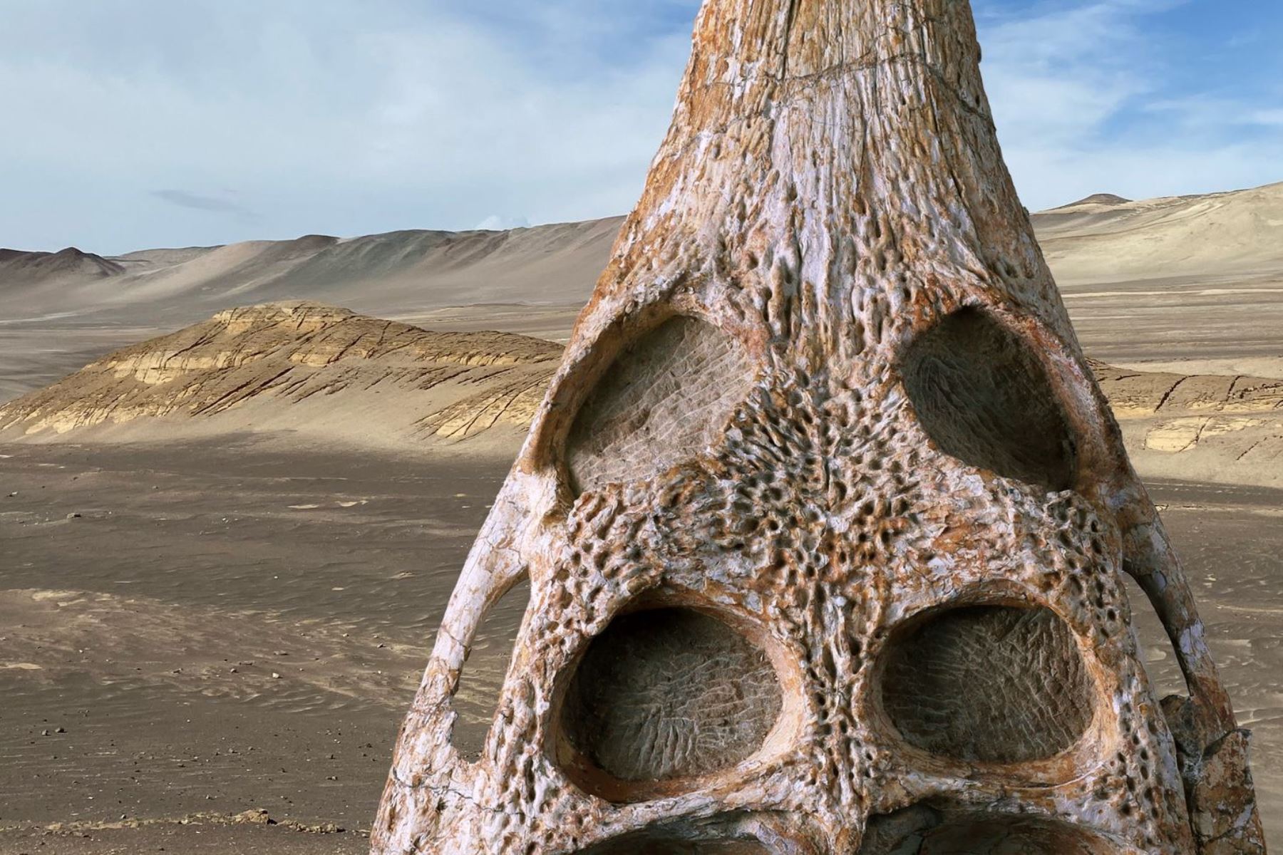 Fósil de "Piscogavialis laberintoensis", el nuevo cocodrilo marino del Perú, hallado en el desierto de Ocucaje, región Ica. Foto: Cortesía Rodolfo Salas-Gismondi