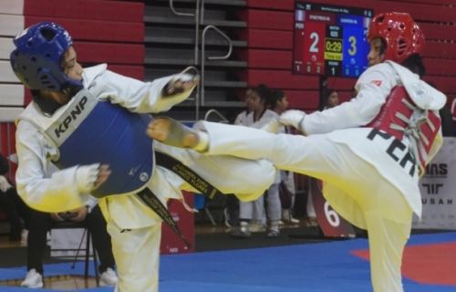 Los mejores exponentes del taekwondo estarán en la Videna