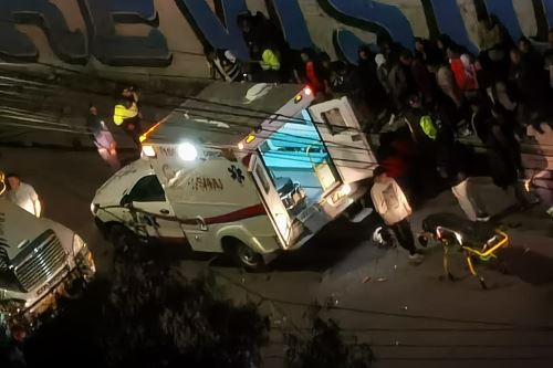 ANDINA/Difusión