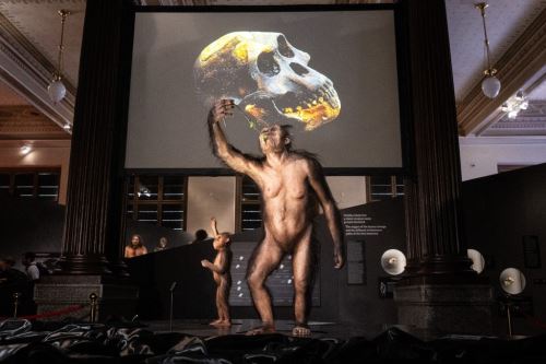 Lucy, el esqueleto más famoso del mundo, se exhibe en Europa por primera vez