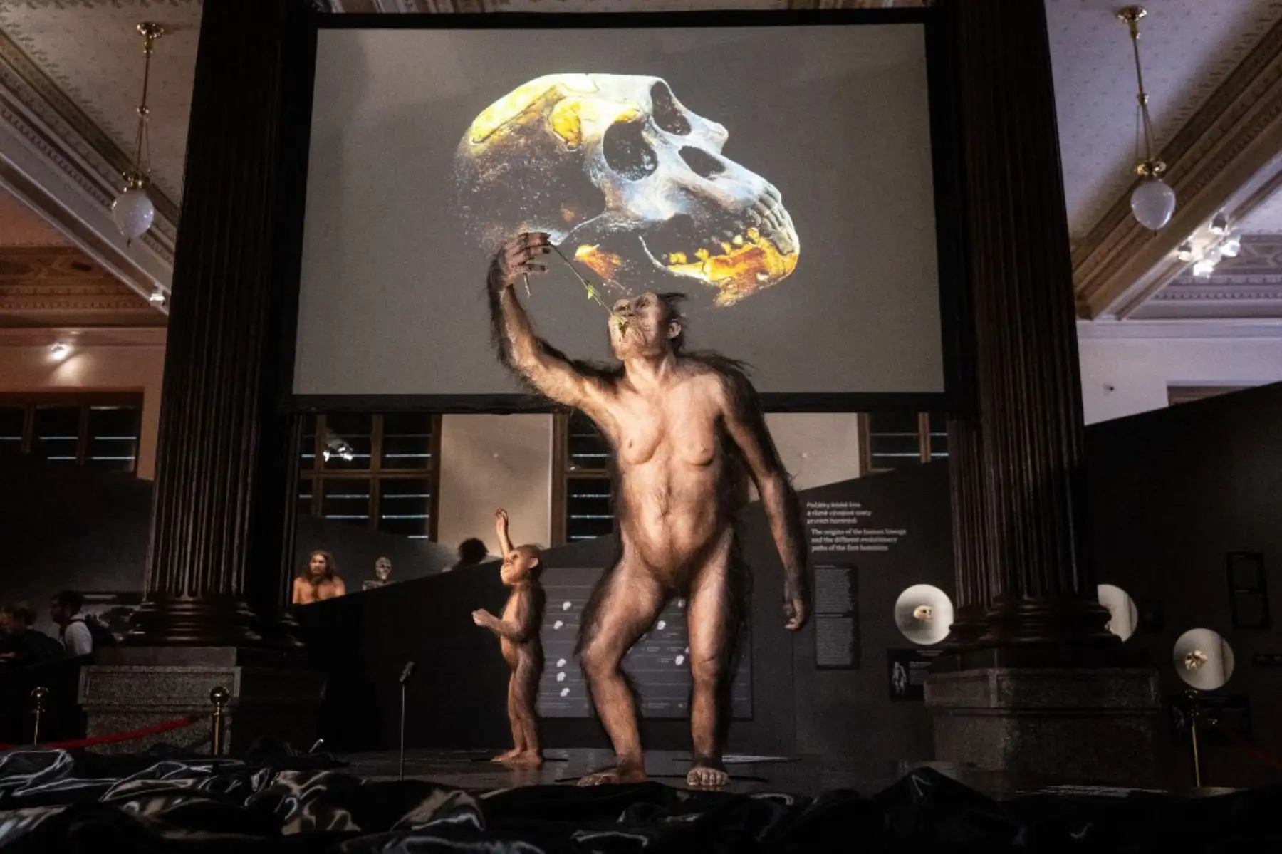 Las reconstrucciones artísticas hiperrealistas de la antepasada humana Australopithecus afarensis, 