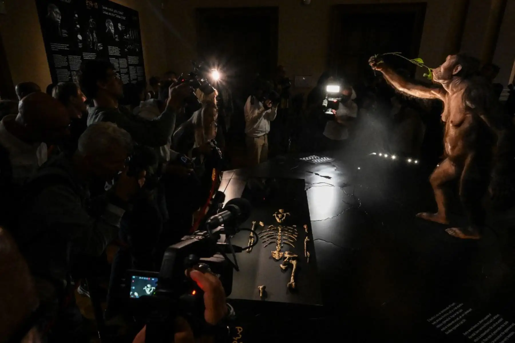 Periodistas graban la reconstrucción artística hiperrealista del ancestro humano Australopithecus afarensis «Lucy» y los fragmentos óseos (C) en el Museo Nacional Checo de Praga el 25 de agosto de 2025. Los fragmentos óseos de 3,18 millones de años de Lucy, Foto: ANDINA/ AFP