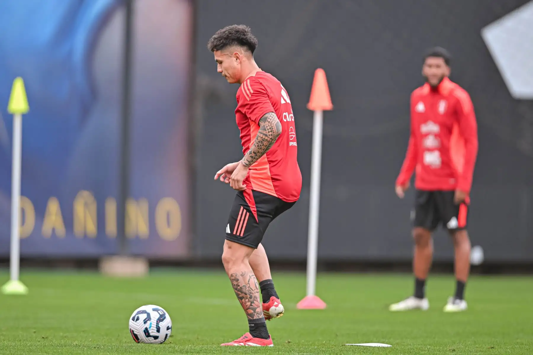La selección peruana inició sus entrenamientos pensando en los próximos partidos de Eliminatorias ante Uruguay y Paraguay, respectivamente. El plantel trabajó en la Videna FPF bajo la dirección de Oscar Ibáñez. 
Foto: FPF