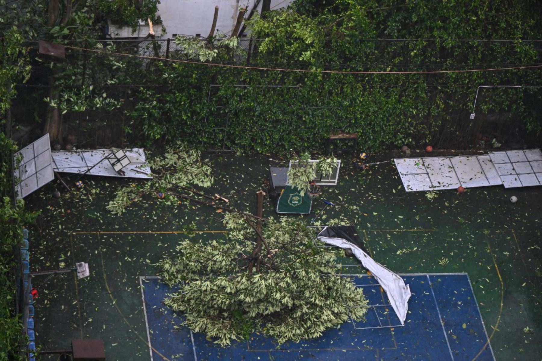 Una rama de árbol rota yace sobre una cancha deportiva en medio de fuertes lluvias y vientos en la ciudad de Vinh, provincia de Nghe An, en Vietnam, el 25 de agosto de 2025, tras la llegada del tifón Kajiki. Foto: AFP