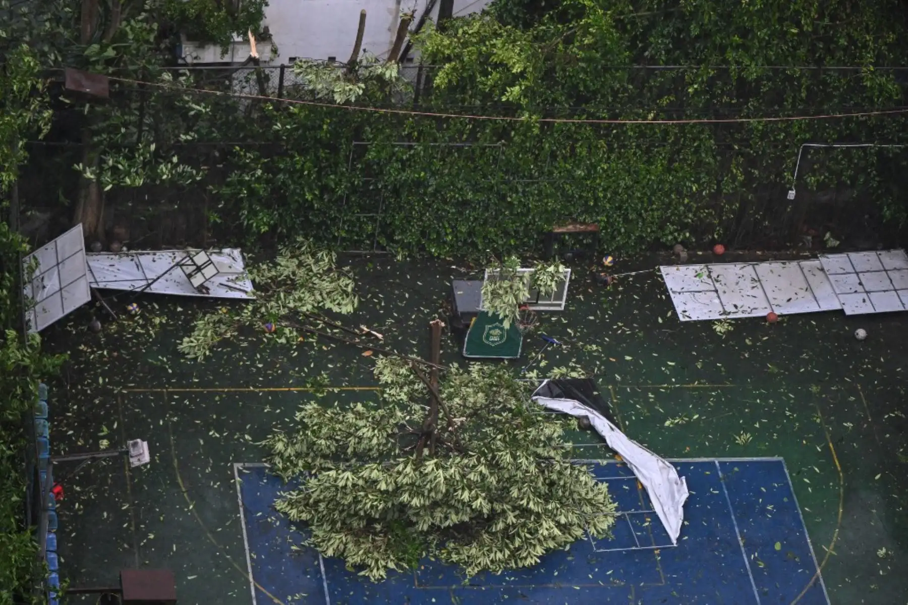 Una rama de árbol rota yace sobre una cancha deportiva en medio de fuertes lluvias y vientos en la ciudad de Vinh, provincia de Nghe An, en Vietnam, el 25 de agosto de 2025, tras la llegada del tifón Kajiki. Foto: AFP