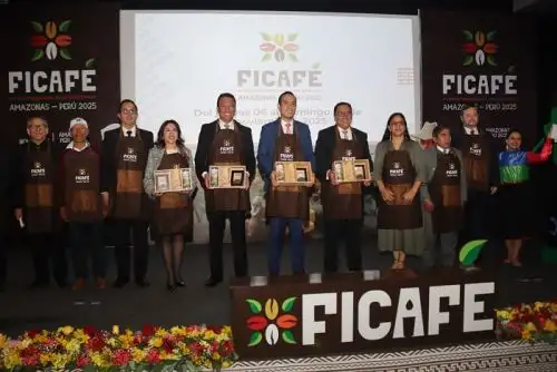 ⁠Ficafé 2025 permitirá a 314 organizaciones caficultoras contactarse con mercados nacionales e internacionales.