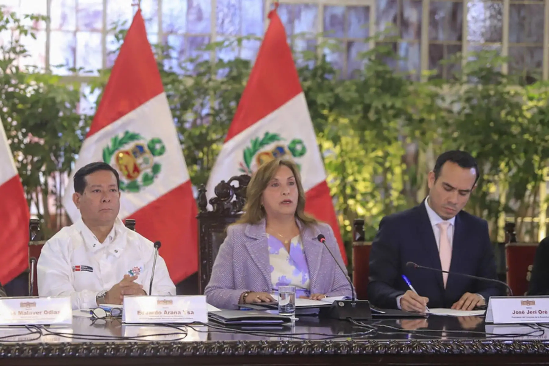 ANDINA/Prensa Presidencia