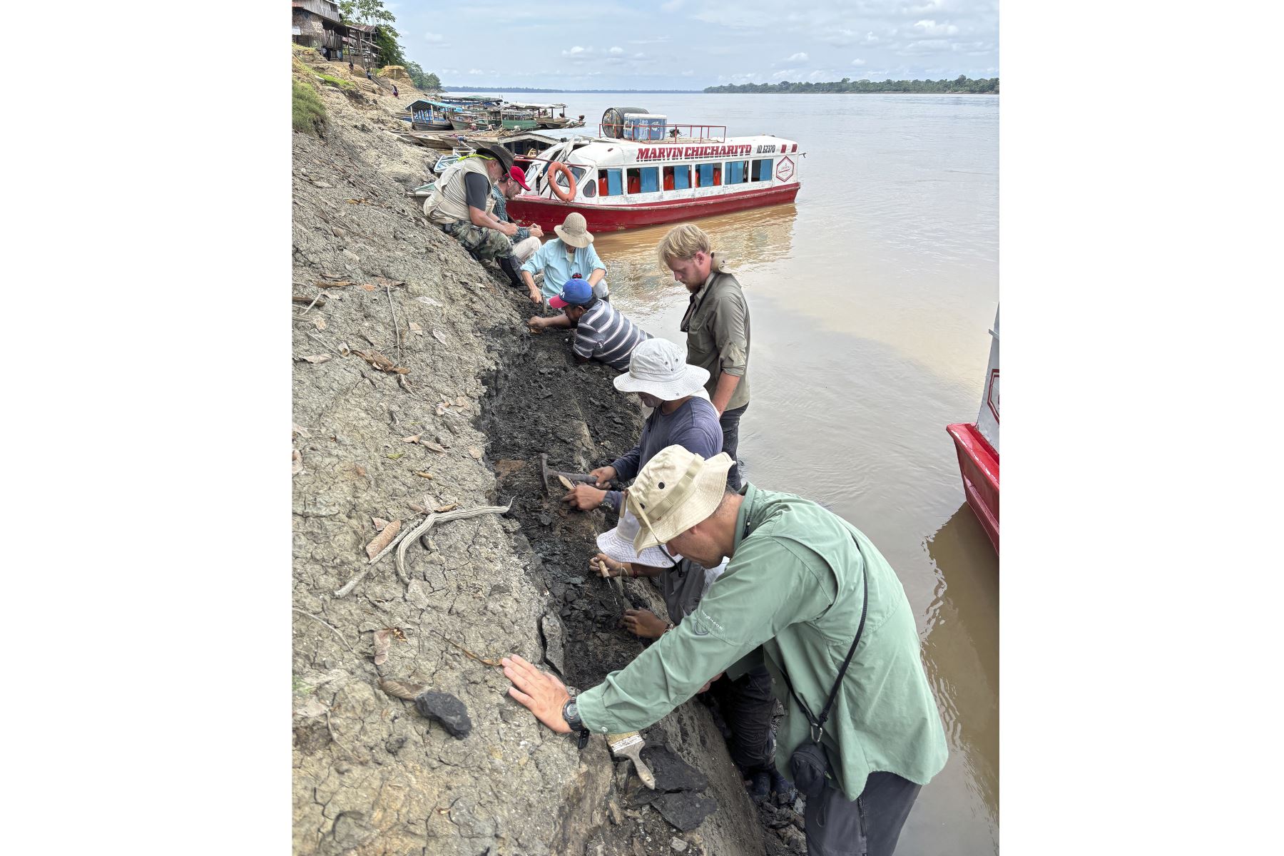 Expedicionarios colectando fósiles de vertebrados en la localidad de Pebas, región Loreto, hace unos días. Foto: Cortesía Rodolfo Salas-Gismondi