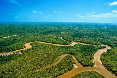 Vista de la Amazonía peruana. ANDINA/Difusión