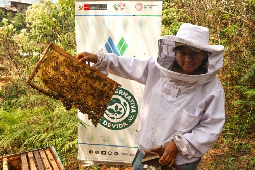 A través de la apicultura, Devida impulsa nuevas oportunidades de desarrollo en Pichanaqui. Foto: DEVIDA/Difusión.