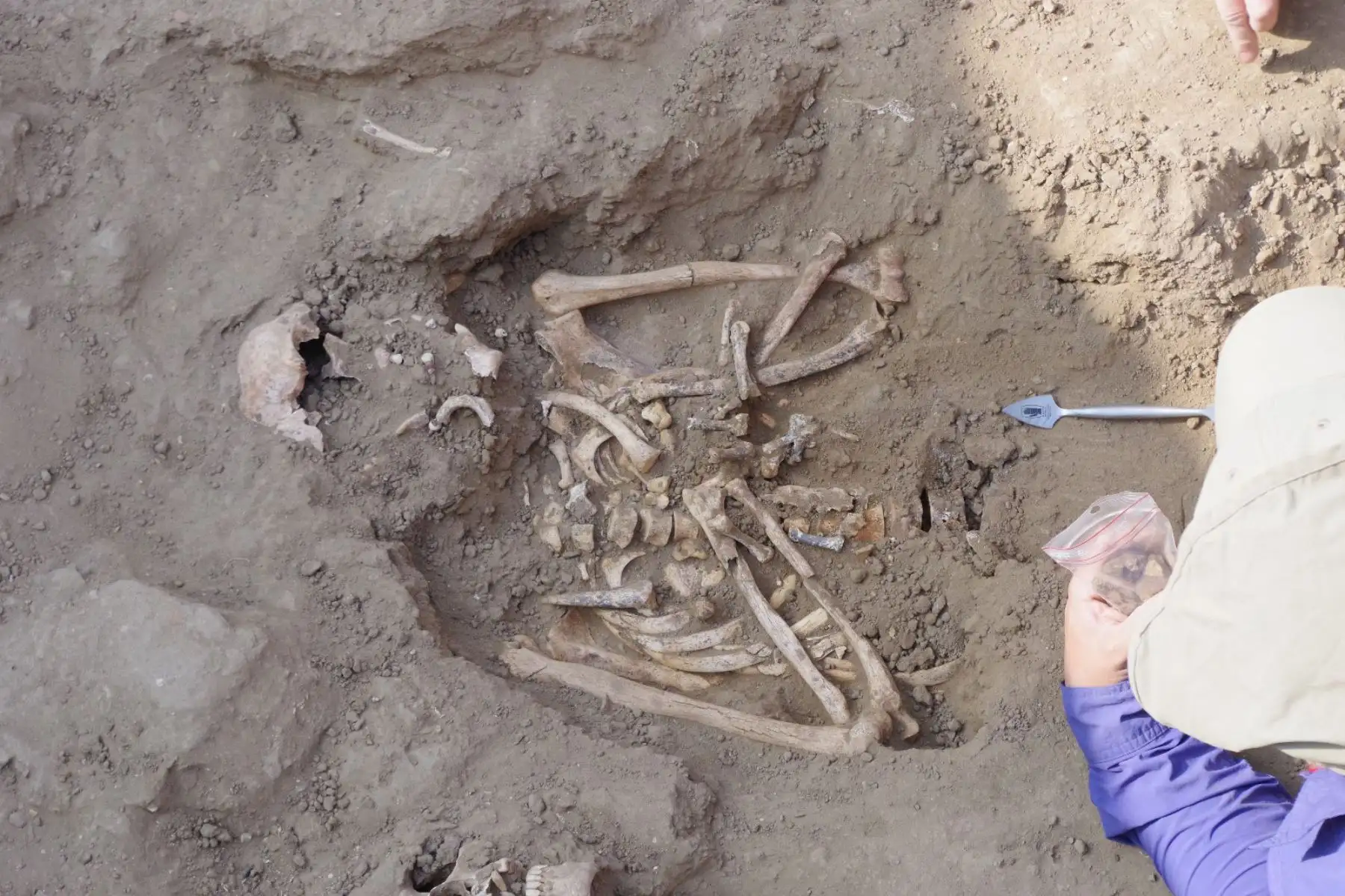 Los individuos habrían sido enterrados con mortajas que con el paso del tiempo y el clima del lugar habrían desaparecido. Tal es la erosión de los años que aún no están seguros si un contexto funerario corresponde a uno o dos personas.
Foto: ANDINA/Difusión