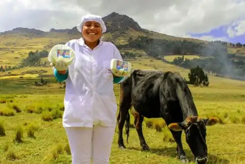 La cadena ganadero-lechera es importante para la economía del país. ANDINA/Difusión