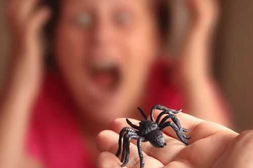 ContimedPhobias es un programa de realidad virtual diseñado para abordar la fobia a las arañas. Foto: U. Continental/Difusión.