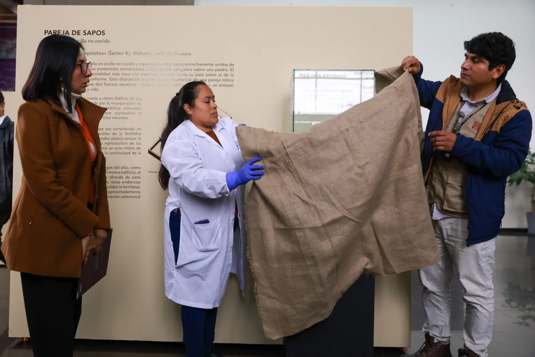 El Ministerio de Cultura, a través de la Zona Arqueológica Caral, presentó los resultados de 18 años de investigación en Vichama, ciudad agropesquera de hace 3,800 años en Végueta, Huaura. Entre los hallazgos destacan frisos, maquetas y símbolos en arcilla, como sapos asociados a la lluvia y la vida, que evidencian mensajes ideológicos sobre el agua, la cohesión social y la resiliencia frente al cambio climático, transmitidos por la civilización Caral. Foto: ANDINA/Luis Iparraguirre