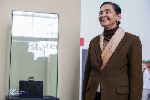 Sapos de arcilla en Vichama revelan visión ancestral sobre lluvias, vida y cambio climático