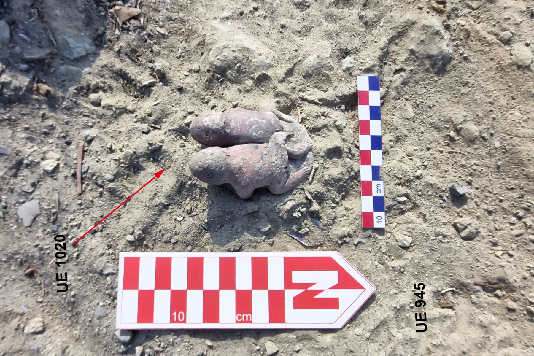 Estos hallazgos están permitiendo a la Zona Arqueológica Caral profundizar en la comprensión de las creencias y prácticas religiosas de los pobladores de Vichama, ofreciendo una nueva perspectiva sobre la relevancia del sapo en el contexto ceremonial y mitológico en el Mundo Andino desde hace 3800 años al presente.  Foto: ZONA ARQUEOLÓGICA CARAL