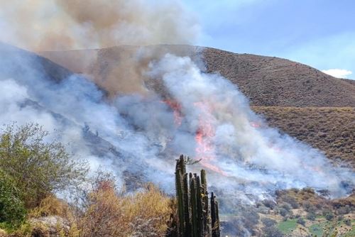 El COER Arequipa continúa el monitoreo del incendio forestal que a estas horas de la tarde sigue activo.