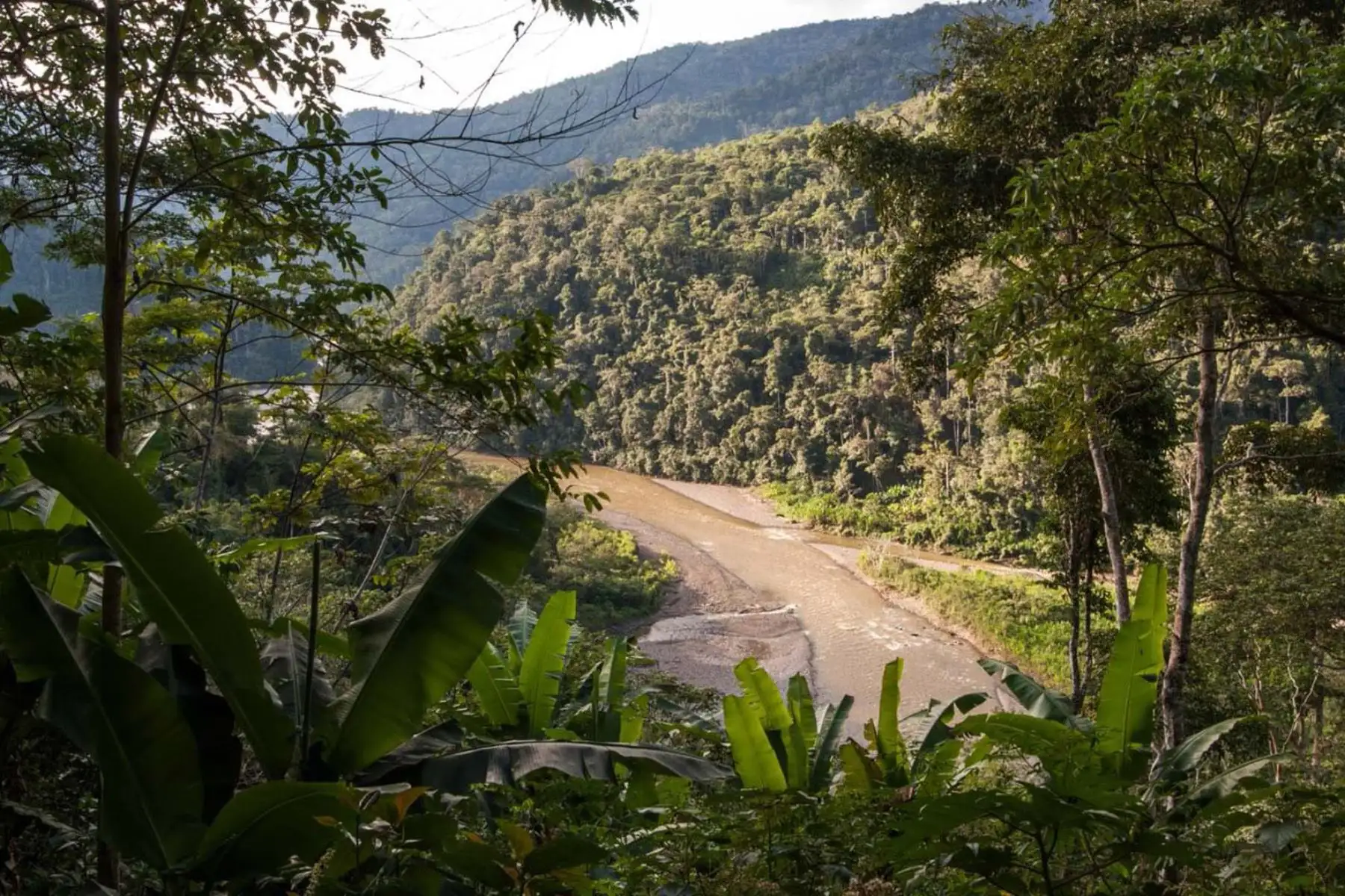 El Parque Nacional Bahuaja Sonene protege recursos naturales únicos en el Perú, como la sabana húmeda tropical (Pampas del Heath). Foto:Difusión