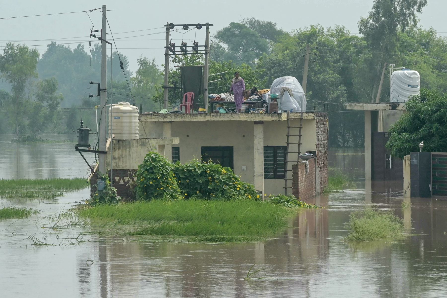 Los residentes se encuentran en el techo de su casa sumergida después de un aumento en el nivel del agua del río Ravi tras las fuertes lluvias en un pueblo cerca de Ramdas, a unos 45 km de Amritsar. AFP