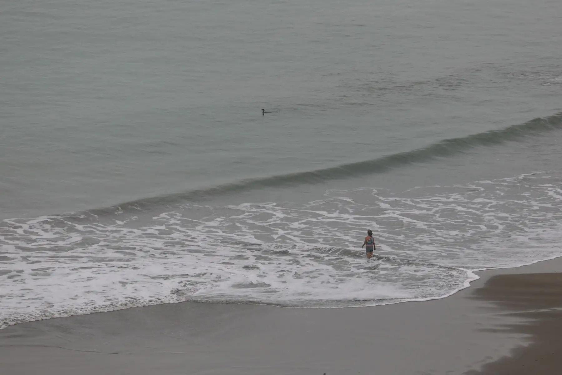 Lima amaneció con lloviznas ligeras, cielo cubierto y ráfagas de viento que redujeron notablemente la visibilidad en la Costa Verde. La temperatura al amanecer llegó a los 14 °C, pero con una sensación térmica más fría aún. El Senamhi prevé que el cielo permanecerá nublado durante la mañana, con posibilidad de llovizna aislada, seguido de una tarde gris con presencia de viento. Foto: ANDINA/Luis Iparraguirre