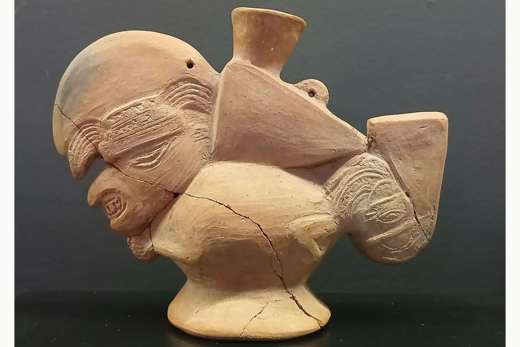 Por primera vez, se podrá apreciar una colección de más de 100 especies marinas reunidas por el Instituto del Mar del Perú, entre las que destacan peces, quelonios, crustáceos, moluscos y algas, como testimonio de la enorme diversidad hidrobiológica del mar peruano.El ingreso a la exposición es libre. Esta podrá visitarse durante tres meses en las Salas de Exposiciones Temporales 1 y 2 del Museo Tumbas Reales de Sipán. Foto: Difusión