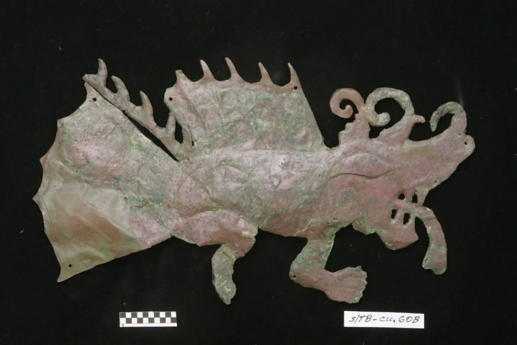 El Museo Tumbas Reales de Sipán, ubicado en la ciudad de Lambayeque, inaugurará este viernes 29 de agosto  la exposición temporal “El Mar y la Vida en el Antiguo Lambayeque”, una propuesta inédita que reúne arqueología y ciencia marina en un mismo espacio. Foto: Difusión