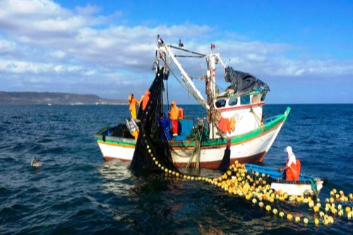 Pesca.