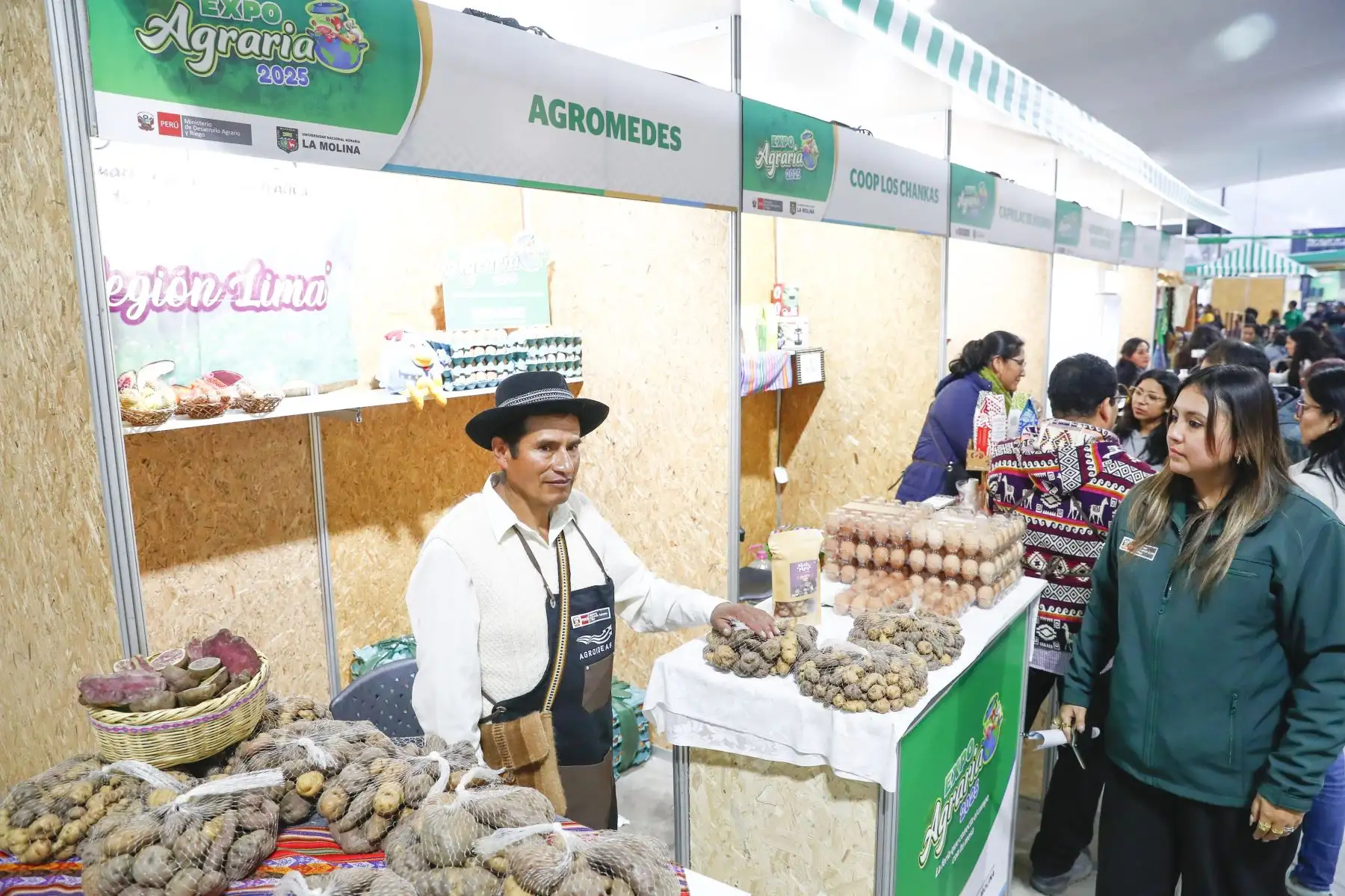 Desde el Campo Ferial de la Universidad Nacional Agraria La Molina, se inauguró la feria Expo Agraria 2025, organizada por el Ministerio de Agricultura y Riego, que se realiza del 29 al 31 de agosto, en la que más de 100 productores del interior del país ofrecen al público toda clase de productos agrícolas orgánicos y procesados, y una variada oferta gastronómica, entre otros atractivos. Foto: ANDINA/Daniel Bracamonte
