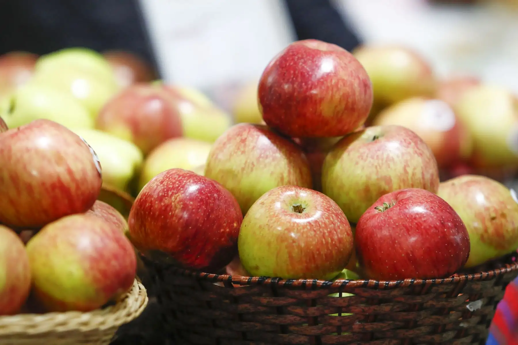 Desde el Campo Ferial de la Universidad Nacional Agraria La Molina, se inauguró la feria Expo Agraria 2025, organizada por el Ministerio de Agricultura y Riego, que se realiza del 29 al 31 de agosto, en la que más de 100 productores del interior del país ofrecen al público toda clase de productos agrícolas orgánicos y procesados, y una variada oferta gastronómica, entre otros atractivos. Foto: ANDINA/Daniel Bracamonte